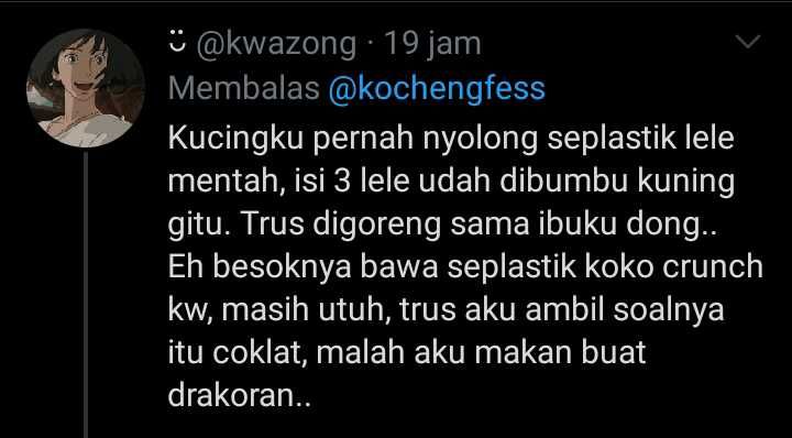 Cerita warganet soal kucing